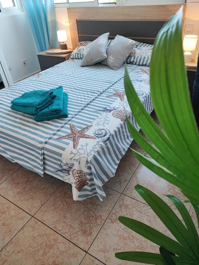 Under The Palm Trees Apartment Torrevieja Ngoại thất bức ảnh